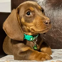 processed/cbba7722-d23c-4295-9c61-bfe47cc28dd6/facility/b3a67e26-9fc8-4ba3-9e45-cf627e59c611