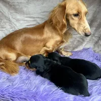 processed/cbba7722-d23c-4295-9c61-bfe47cc28dd6/facility/cc922691-eb75-4f92-a6bf-cc63198ba16b