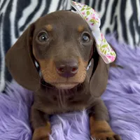 processed/cbba7722-d23c-4295-9c61-bfe47cc28dd6/facility/d7a158d5-4cf0-4e61-9d23-6f31d79b45fa