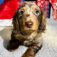 processed/cbba7722-d23c-4295-9c61-bfe47cc28dd6/facility/daf81efe-6708-466b-8aab-68e863a41472