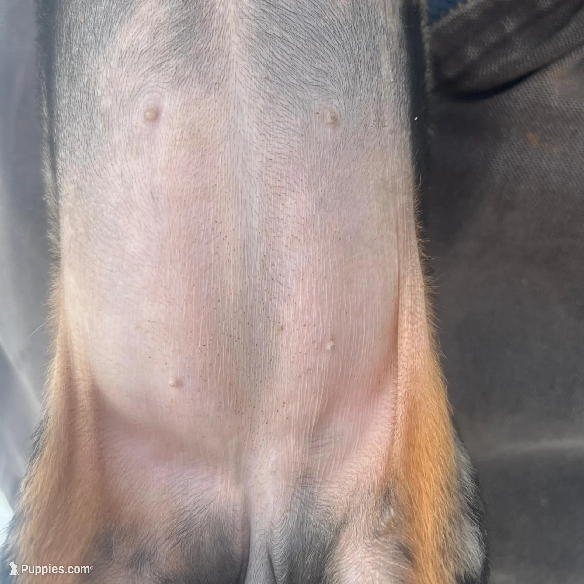 processed/cbba7722-d23c-4295-9c61-bfe47cc28dd6/listing/9d1a6404-5f10-4b86-b682-476c0dd83ab2/5f0fa568-3025-4fd8-89a6-ba397c38fc20