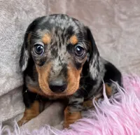 processed/cbba7722-d23c-4295-9c61-bfe47cc28dd6/listing/9d1a6404-5f10-4b86-b682-476c0dd83ab2/76ec0459-149c-483b-b940-601e90742ebb