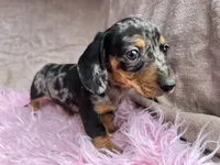 processed/cbba7722-d23c-4295-9c61-bfe47cc28dd6/listing/9d1a6404-5f10-4b86-b682-476c0dd83ab2/ca8af500-62c2-4927-a524-996fd492534d