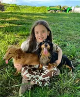 AKC Dumplin, reviews, a female Miniature Dachshund for sale in West Liberty, KY – Photo 10 of 10