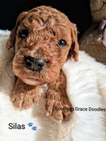 processed/cbc11619-a89a-4962-a57c-a1999864dcf9/listing/0e8e8646-2dd2-4a9b-9a3a-120a95c1e4ee/0c689d50-d366-40d8-8f7b-d02505c4957b