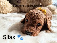 processed/cbc11619-a89a-4962-a57c-a1999864dcf9/listing/0e8e8646-2dd2-4a9b-9a3a-120a95c1e4ee/1ff778a2-6437-4d30-bf36-60985e096721