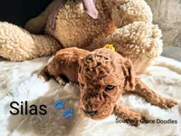 processed/cbc11619-a89a-4962-a57c-a1999864dcf9/listing/0e8e8646-2dd2-4a9b-9a3a-120a95c1e4ee/2a6b3872-2740-462b-a7a0-694e92b5ec86