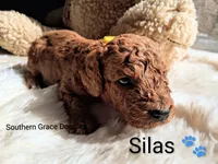 processed/cbc11619-a89a-4962-a57c-a1999864dcf9/listing/0e8e8646-2dd2-4a9b-9a3a-120a95c1e4ee/6698d06c-12d7-402a-9315-e72e86307b73