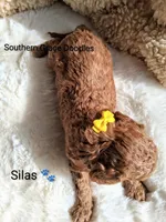 processed/cbc11619-a89a-4962-a57c-a1999864dcf9/listing/0e8e8646-2dd2-4a9b-9a3a-120a95c1e4ee/c11b67a1-e1b0-4a8c-bb8d-10bbc8f124bb