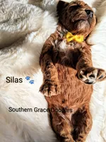 processed/cbc11619-a89a-4962-a57c-a1999864dcf9/listing/0e8e8646-2dd2-4a9b-9a3a-120a95c1e4ee/c13069e7-0f5e-43f6-80d4-2fce5a044cf6