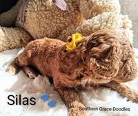 processed/cbc11619-a89a-4962-a57c-a1999864dcf9/listing/0e8e8646-2dd2-4a9b-9a3a-120a95c1e4ee/ee4ae19e-94a2-40ea-b30d-3bf0b3f562a0