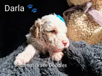 processed/cbc11619-a89a-4962-a57c-a1999864dcf9/listing/33fe5737-d59a-4fb6-a102-9b9c3ee26c21/00eded9b-6ca2-4b4e-a236-369b42628dea