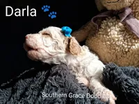 processed/cbc11619-a89a-4962-a57c-a1999864dcf9/listing/33fe5737-d59a-4fb6-a102-9b9c3ee26c21/2c712df2-a385-4b34-85f8-2ef9f3e436d0