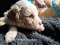 processed/cbc11619-a89a-4962-a57c-a1999864dcf9/listing/33fe5737-d59a-4fb6-a102-9b9c3ee26c21/3379809d-a77a-42ee-b4f0-48059840b658