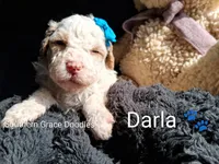 processed/cbc11619-a89a-4962-a57c-a1999864dcf9/listing/33fe5737-d59a-4fb6-a102-9b9c3ee26c21/49d37339-f112-4cd3-8840-4625980176fd