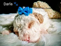 processed/cbc11619-a89a-4962-a57c-a1999864dcf9/listing/33fe5737-d59a-4fb6-a102-9b9c3ee26c21/4a28dded-8aa8-4e89-a6fc-35d255c74f62