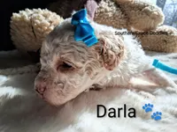 processed/cbc11619-a89a-4962-a57c-a1999864dcf9/listing/33fe5737-d59a-4fb6-a102-9b9c3ee26c21/a17cfd90-cf61-4383-9b72-e32523c3ef84