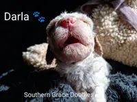 processed/cbc11619-a89a-4962-a57c-a1999864dcf9/listing/33fe5737-d59a-4fb6-a102-9b9c3ee26c21/b6c350b4-6ffd-42a6-abc9-e14ede032972