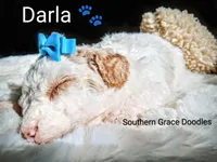 processed/cbc11619-a89a-4962-a57c-a1999864dcf9/listing/33fe5737-d59a-4fb6-a102-9b9c3ee26c21/f7d4615b-7547-46fb-8e0f-b104522338a3