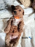 processed/cbc11619-a89a-4962-a57c-a1999864dcf9/listing/83dc0798-a69b-4fa4-95f6-605099c200cd/0daba7f1-c0c8-422e-8abd-a003434504b0