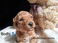 processed/cbc11619-a89a-4962-a57c-a1999864dcf9/listing/83dc0798-a69b-4fa4-95f6-605099c200cd/3668ae86-e83d-43c7-811b-88372e4a1740