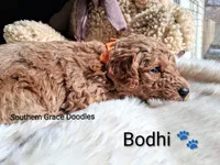 processed/cbc11619-a89a-4962-a57c-a1999864dcf9/listing/83dc0798-a69b-4fa4-95f6-605099c200cd/5086962e-e533-4675-bb96-4ed68ec9703c