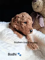 processed/cbc11619-a89a-4962-a57c-a1999864dcf9/listing/83dc0798-a69b-4fa4-95f6-605099c200cd/5c6bdd46-ba84-4867-b9e4-472cf8baff42