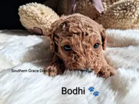 processed/cbc11619-a89a-4962-a57c-a1999864dcf9/listing/83dc0798-a69b-4fa4-95f6-605099c200cd/94f36744-fb90-4d8f-8b7f-1175485695aa