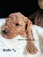 processed/cbc11619-a89a-4962-a57c-a1999864dcf9/listing/83dc0798-a69b-4fa4-95f6-605099c200cd/965c240a-ebf4-4676-bf6f-9ef7ba4400c5