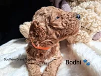 processed/cbc11619-a89a-4962-a57c-a1999864dcf9/listing/83dc0798-a69b-4fa4-95f6-605099c200cd/9c6d4476-866a-4238-aff5-f335626736d8