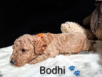 processed/cbc11619-a89a-4962-a57c-a1999864dcf9/listing/83dc0798-a69b-4fa4-95f6-605099c200cd/d7afb2aa-f7fd-4b60-8e0e-29525bbe714b