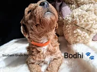 processed/cbc11619-a89a-4962-a57c-a1999864dcf9/listing/83dc0798-a69b-4fa4-95f6-605099c200cd/f258dc5b-39c8-4f8b-966f-8b35b5dce958