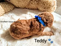 processed/cbc11619-a89a-4962-a57c-a1999864dcf9/listing/97fb6e25-3260-4791-a67b-54a118297a6b/102a1a43-dd01-4c7e-9ace-f5e872af6474