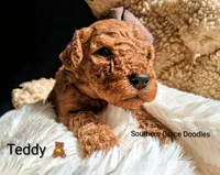 processed/cbc11619-a89a-4962-a57c-a1999864dcf9/listing/97fb6e25-3260-4791-a67b-54a118297a6b/27a8d301-4063-445a-a727-8a16bfa61a21