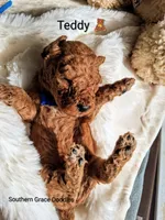 processed/cbc11619-a89a-4962-a57c-a1999864dcf9/listing/97fb6e25-3260-4791-a67b-54a118297a6b/5e04389c-59e8-41b5-8fb0-16005df34702