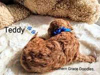 processed/cbc11619-a89a-4962-a57c-a1999864dcf9/listing/97fb6e25-3260-4791-a67b-54a118297a6b/7f9b6202-c74a-4018-b82e-de77ab6ff161