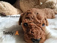 processed/cbc11619-a89a-4962-a57c-a1999864dcf9/listing/97fb6e25-3260-4791-a67b-54a118297a6b/be24adfc-050d-4495-9b14-80692cf2b32b