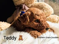 processed/cbc11619-a89a-4962-a57c-a1999864dcf9/listing/97fb6e25-3260-4791-a67b-54a118297a6b/f1ab456f-0630-4506-ac78-a103dc71f2d0