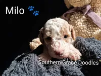 processed/cbc11619-a89a-4962-a57c-a1999864dcf9/listing/e1414dd9-c63e-43e6-b5ee-26a63a639160/417ba333-ca65-4b23-a382-2b3eb41fe4e4