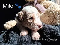 processed/cbc11619-a89a-4962-a57c-a1999864dcf9/listing/e1414dd9-c63e-43e6-b5ee-26a63a639160/c81f6838-a390-4a47-814e-972702a53962