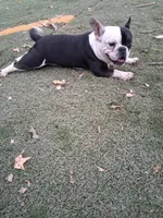 processed/cbdf4145-1536-4877-b5d9-76c96b685712/listing/7f004c28-b4b1-4521-abee-d48779eb064d/4a3b7eb5-4320-44f1-95c1-81ff6c57029a