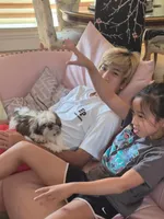 Imperial Nori Girl, a female Shih Tzu for sale in Frisco, TX – 4 of 7