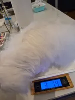 processed/cbdf89c4-5900-47fb-bca4-79afa3f81a7e/listing/c50e7410-651d-4176-993c-672e72dede1a/48a7e010-ca01-4be4-911b-ac5e72c4fded