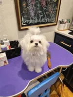 processed/cbdf89c4-5900-47fb-bca4-79afa3f81a7e/listing/c50e7410-651d-4176-993c-672e72dede1a/6d75370a-b9ef-4433-b4d7-073c86562f5a