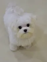 processed/cbdf89c4-5900-47fb-bca4-79afa3f81a7e/listing/c50e7410-651d-4176-993c-672e72dede1a/6e8acdac-a541-411e-b3fa-73a8b5940d7d