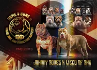 XL AMERICAN BULLY…, a male American Bully for sale in Snellville, GA – 6 of 8