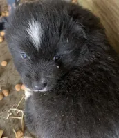 processed/cbfd05be-fe68-45ce-9bf3-b7c398043d69/listing/1b5a0bb9-c1c5-4697-bc7c-2ddfc46be968/0aa9e0ea-78af-4916-9f3a-0211261c197b