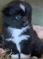 processed/cbfd05be-fe68-45ce-9bf3-b7c398043d69/listing/1b5a0bb9-c1c5-4697-bc7c-2ddfc46be968/0b1014c6-fcec-438c-b6f7-38b9a3c6835b