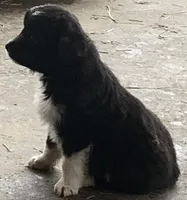 processed/cbfd05be-fe68-45ce-9bf3-b7c398043d69/listing/1b5a0bb9-c1c5-4697-bc7c-2ddfc46be968/8097a008-cf22-445f-9c02-9a3286beb61c