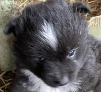 processed/cbfd05be-fe68-45ce-9bf3-b7c398043d69/listing/1b5a0bb9-c1c5-4697-bc7c-2ddfc46be968/95aacdad-b7e8-4137-9c74-b4748e4e7f20